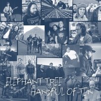 Handful of Ten Elephant Tree