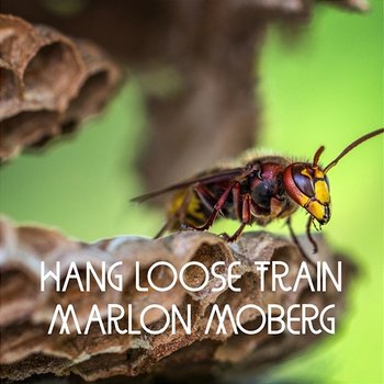 Hang Loose Train - Marlon Moberg