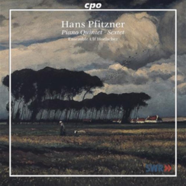 Hans Pfitzner: Piano Quintet/Sextet - Various Artists | Muzyka Sklep ...