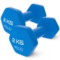 HANTLE HANTELKI DO ĆWICZEŃ OBCIĄŻENIE ZESTAW CIĘŻARKI SIŁOWNIA 2x2kg 4FIZJO - 4FIZJO