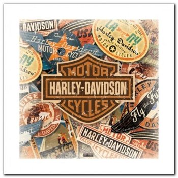Harley Davidson plakat obraz 40x40cm - Wizard+Genius