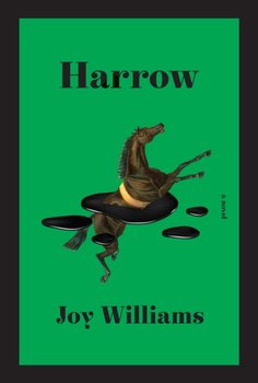 Harrow - Joy Williams