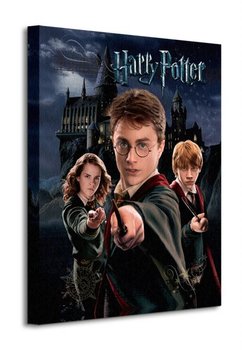 Harry Potter Harry Ron Hermione - obraz na płótnie - Art Group