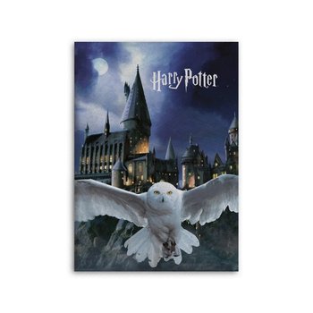 Harry Potter, koc 140x100cm Hedwiga Hogwart, aymax - Aymax