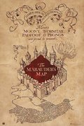 Harry Potter The Marauders Map - plakat 61x91,5 cm - Grupoerik