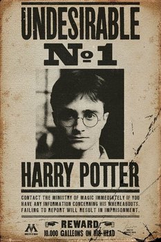 Harry Potter Undesirable No 1 - plakat 61x91,5 cm - GBeye