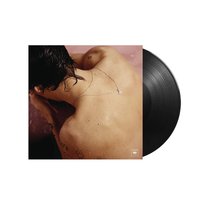 Harry Styles, płyta winylowa Styles Harry