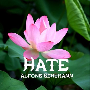 Hate - Alfons Schumann