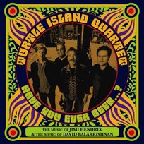 Have You Ever Been Turtle Island Quartet