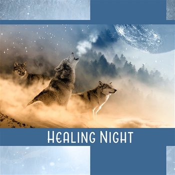 Healing Night: Vital Rest, Absorbing the Calm, Quiet World, Audio Tranquilizer, Emotional Pause, Evening Harmony - Insomnia Cure Music Society