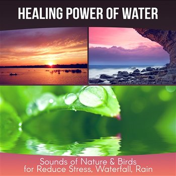 Healing Power of Water - Therapy Music for Yoga Meditation, Sounds of Nature & Birds for Reduce Stress, Waterfall, Rain - Calm Music Zone