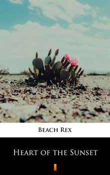 Heart of the Sunset - Beach Rex