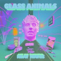 Heat Waves Glass Animals