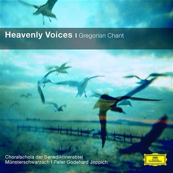 Heavenly Voices - Gregorian Chant - Benedictine Monks of the Abbey Münsterschwarzach, Pater Godehard Joppich