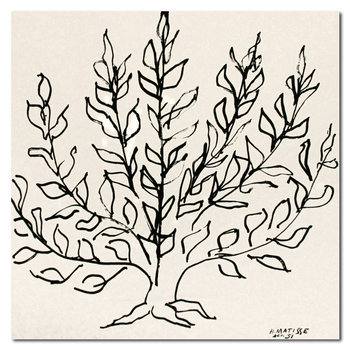 Henri Matisse, DRZEWO 02 plakat 70x70 cm - DEKORAMA