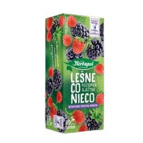 Herbapol Lublin Leśne co nieco 20 tb. x 2g