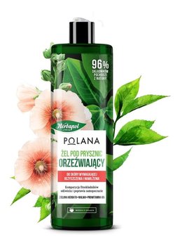 Herbapol Polana Żel pod prysznic orzeźwiający - Zielona Herbata & Malwa & Prowitamina B5 400ml - Herbapol