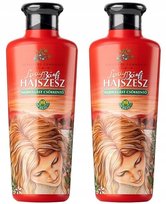 Herbaria Banfi Hajszesz Zestaw do włosów: wcierka lady 250 ml x 2 | POROST WYPADANIE Banfi Herbaria