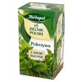 Herbata ziołowa Herbapol pokrzywa 20 szt. - Herbapol