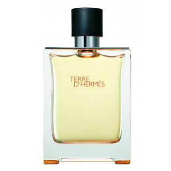 Hermes, Terre D'Hermes, woda toaletowa, 100 ml - Hermes