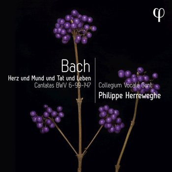 Herz und Mund und Tat und Leben - Bach Cantatas BWV 6-99-147 - Collegium Vocale Gent
