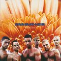 Herzeleid (Remastered) - Rammstein