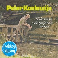 Het Beste in Mij Is Niet Goed Genoeg Voor Jou Peter Koelewijn