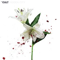 Hidden City The Cult