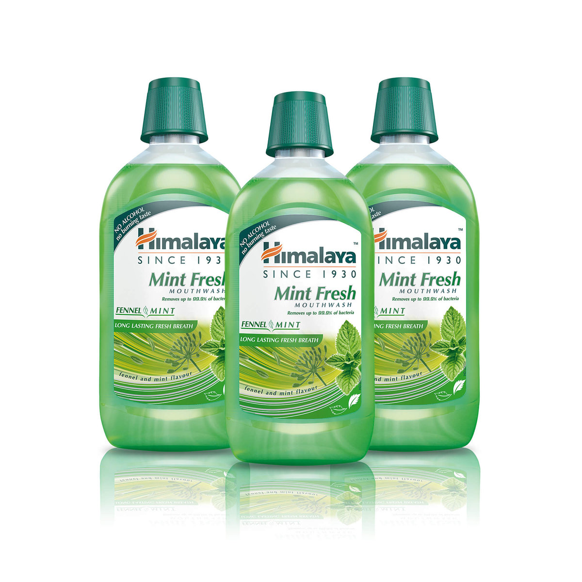 Himalaya, Odświeżający płyn do płukania jamy ustnej, Mint Fresh ...