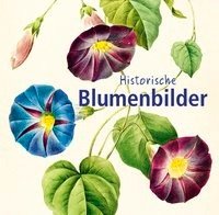 Historische Blumenbilder