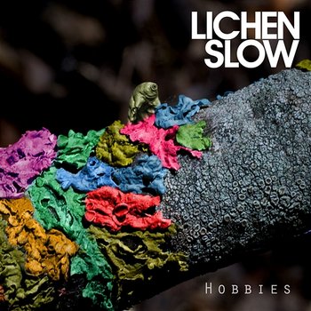 Hobbies - Lichen Slow