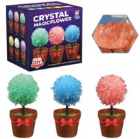 Hodowla Kryształów Kryształy Nauka W Domu Eksperyment