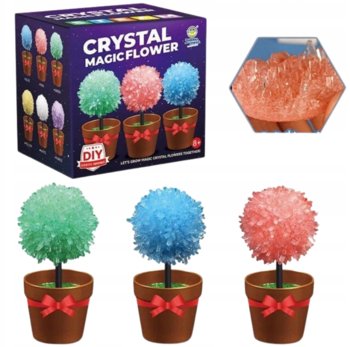 Hodowla Kryształów Kryształy Nauka W Domu Eksperyment