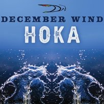 Hoka December Wind