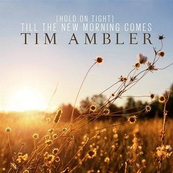 (Hold On Tight) Till The New Morning Comes - Tim Ambler