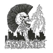 Holy Terror The Saga of Nemesis Assassin