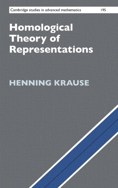 Homological Homological Theory of Representations - Opracowanie zbiorowe | Książka ...