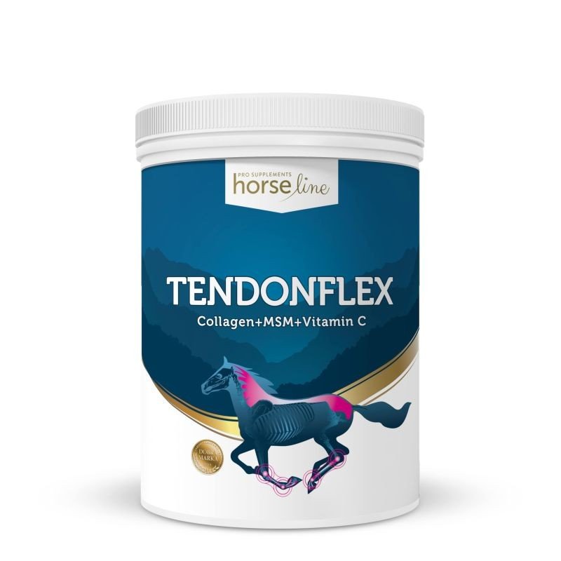 Фото - Інші зоотовари MSM HorseLinePro Tendonflex 900g Collagen++Vitamin C DLA KONIA 