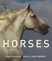 Horses Swinney Nicola Jane