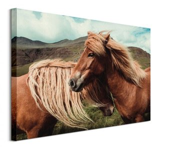 Horses with mane - obraz na płótnie - Nice Wall