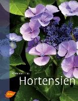 Hortensien Trier Harry