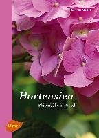 Hortensien Mallet Corinne