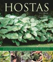 Hostas - Mikolajski Andrew