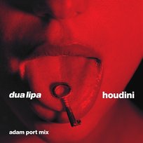 Houdini Dua Lipa