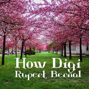 How Digi - Rupert Bernal