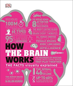 How the Brain Works. The Facts Visually Explained - Opracowanie zbiorowe