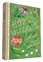 How to Be a Wildflower Daisy Katie