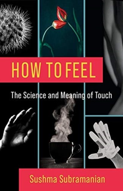 how-to-feel-the-science-and-meaning-of-touch-sushma-subramanian