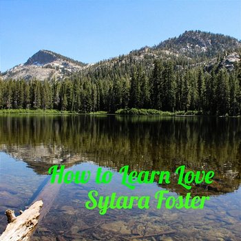 How to Learn Love - Sytara Foster