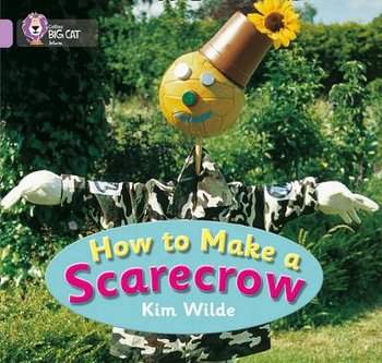 How To Make a Scarecrow - Wilde Kim